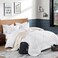 Andency White Grid Comforter Set, 3 Pieces Queen Gingham Bedding Set
