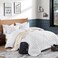 Andency White Grid Comforter Set, 3 Pieces Queen Gingham Bedding Set
