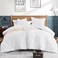 Andency White Grid Comforter Set, 3 Pieces Queen Gingham Bedding Set