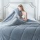 KASENTEX Queen Comforter, Warm Reversible Sherpa, Grey Blue
