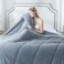 KASENTEX Queen Comforter, Warm Reversible Sherpa, Grey Blue