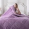 KASENTEX Queen Comforter, Warm Reversible Sherpa, Purple