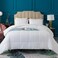 KASENTEX Queen Comforter, Warm Reversible Sherpa, White