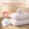 Utopia Bedding 22x22 Pillow Inserts, White Throw Pillows for Couch, 2 Pack