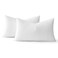 MIULEE 12x20 Pillow Inserts Set of 2, Rectangle Decorative Throw Pillows