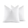 MIULEE 20x20 Pillow Inserts, Set of 2 Feather Down Throw Pillows