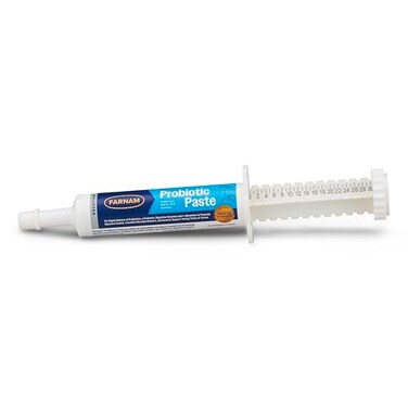 Farnam Probiotic Paste Horses in Syringe Supports Healthy Microbial Balance