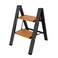 WOA WOA 2 Step Ladder, 300lbs Load, 17'' Top Step, Black/Wood Grain