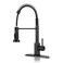 DJS Kitchen Sink Faucet with Pull Down Sprayer Single Handle ORB