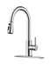 FORIOUS Kitchen Faucet with Pull Down Sprayer, Stainless Steel, Chrome