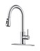 FORIOUS Kitchen Faucet with Pull Down Sprayer, Stainless Steel, Chrome