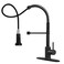 DJS ORB Kitchen Sink Faucet with Pull Down Sprayer Single Handle
