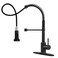 DJS ORB Kitchen Sink Faucet with Pull Down Sprayer Single Handle