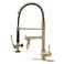 Fapully LED Kitchen Faucet with Pull Down Sprayer,Brushed Gold