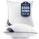 MIULEE 20x20 Pillow Inserts 2 Pack, Premium Down Alternative Throw Pillows