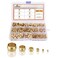 HASAOMOI 260PCS Brass 1/4" 3/8" 5/16" 1/2" 3/16" 1/8" Compression Sleeve Ferrule Kit