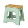 Vigar Compact Folding Step Stool, 12-1/2 in, Green Bamboo Print