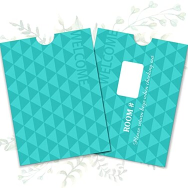 Qeeenar 2000 Pcs Envelopes Hotel Key Card Holder Sleeves, Fresh