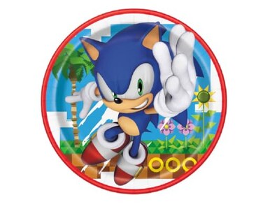 Unique Sonic Birthday Party Supplies Bundle Pack includes 24 Lunch Paper Plates 9
