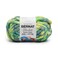 Bernat Blanket Extra Thick Cel-Este Chunky Yarn, Orion Green, 2-Pack