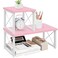 ELITEROO Desktop Shelf, 2 Tier Independent Stackable Desk Stand
