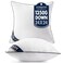 MIULEE 24x24 Pillow Inserts 2 Pack, Premium Down Alternative Throw Pillows