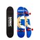 Voyager Sonic The Hedgehog - Complete Cruiser Skateboard with Maple Deck and Smooth