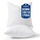 MIULEE 18x18 Pillow Inserts Pack of 2,Down Alternative Throw Pillows