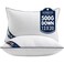 MIULEE 12x20 Pillow Inserts 2 Pack, Premium Down Alternative Throw Pillows