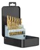Lichamp 21Pcs HSS Drill Bit Set, Titanium Coated, 1/16"-3/8", Double-Groove