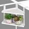 Olpchee 11 Inch 2-Tier Hanging Cubicle Shelf with Adjustable Hooks, Metal Organizer
