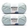Bernat Forever Fleece Soft Yarn for Crocheting, Sage, 2-Pack