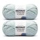 Bernat Forever Fleece Soft Yarn for Crocheting, Sage, 2-Pack
