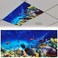 Patelai 4x2 Feet Light Covers for Classroom, Magnetic,Ocean