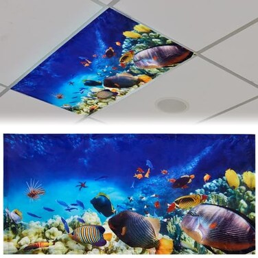 Patelai 4x2 Feet Light Covers for Classroom, Magnetic,Ocean