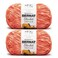 Bernat Blanket Mist-ical Crochet Soft Chenille Yarn, Cactus Flower, 2-Pack