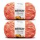 Bernat Blanket Mist-ical Crochet Soft Chenille Yarn, Cactus Flower, 2-Pack