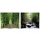 Red Lantern Double Sided Path of Life Canvas Folding Screen, 4 Foot - 4 Panel