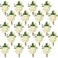 Sherr 36 Pcs White Rose Boutonnieres for Men Wedding