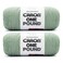 Caron One Pound Soft Yarn for CrochetingKnitting, Succulent, 2-Pack