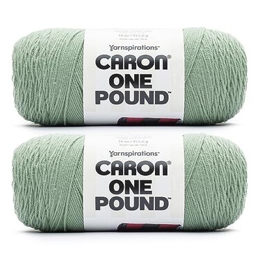 Caron One Pound Soft Yarn for CrochetingKnitting, Succulent, 2-Pack