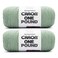 Caron One Pound Soft Yarn for CrochetingKnitting, Succulent, 2-Pack