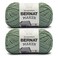 Bernat Maker, Cotton Soft Yarn for Crocheting, Lichen, 2-Pack