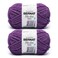 Bernat Blanket Extra, Chunky Yarn for Crocheting, Pow Purple, 2-Pack