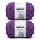 Bernat Blanket Extra, Chunky Yarn for Crocheting, Pow Purple, 2-Pack