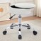 Gitrah Vanity Chair with Wheels Adjustable Vanity Stool with Storage Swivel Vanity Stool for Vanity Rolling Makeup Chair White