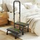 Lemagalu [2026 Upgrade] 2 Step Stool with Handle for Elderly with Sensor Night Light
