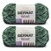 Bernat Velvet Soft Yarn for Crocheting, Pine, 2-Pack
