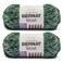 Bernat Velvet Soft Yarn for Crocheting, Pine, 2-Pack