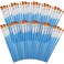Sherr 48 Pcs Paint Brush Set Bulk, 0.28, 0.35, 0.43, 0.59 Inch, Angle Style
